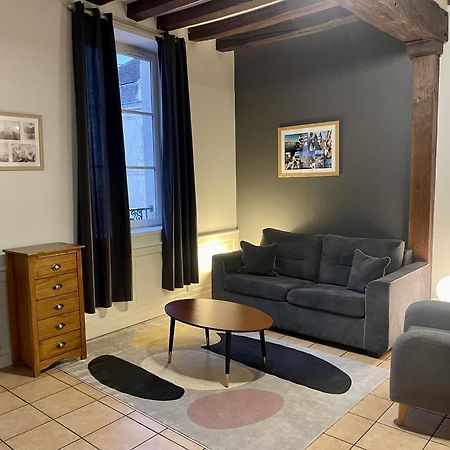 Appartement Le Coche D'Eau Auxerre Les Quais Eksteriør billede